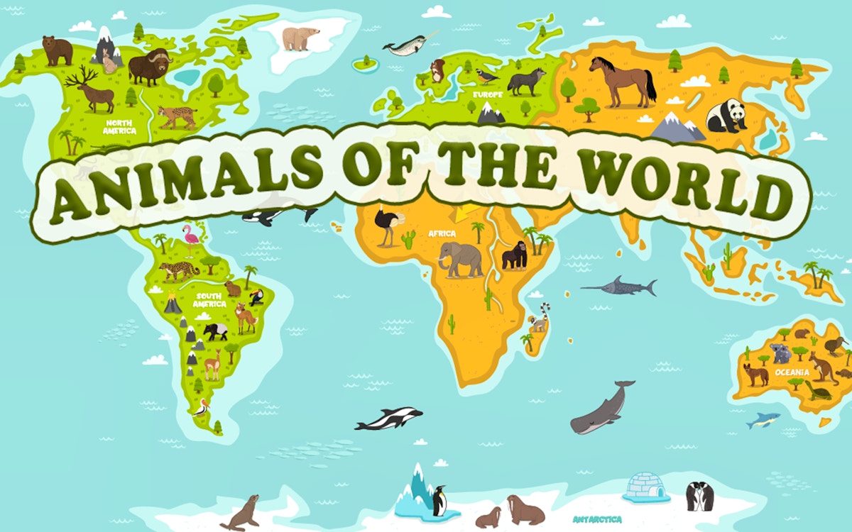 Animals of the World - free online Junior game on Casivu