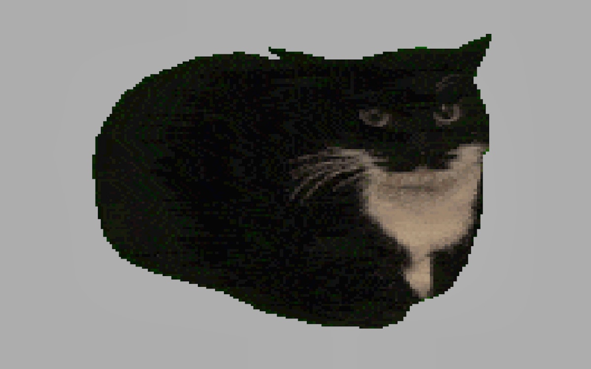 Spinning Cat Clicker - free online Cats game on Casivu